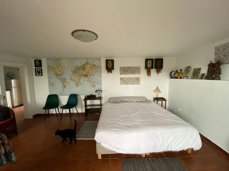 Caboz Horta (Azores)