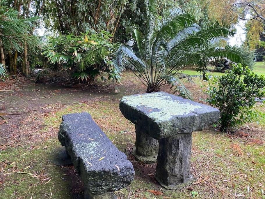 Caboz Horta (Azores)